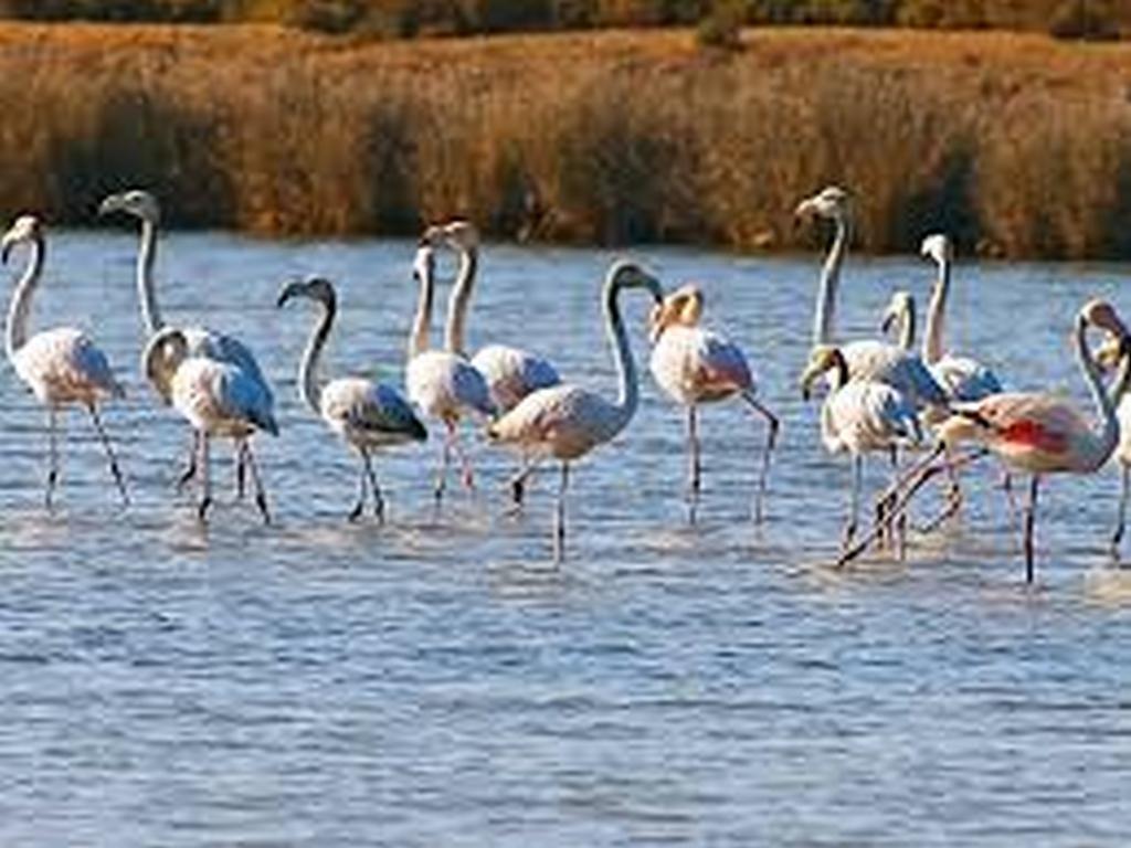Apartamento Pe Na Areia, Armação de Pêra 外观 照片